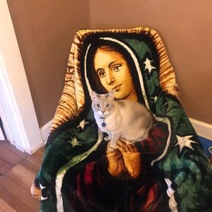 Meet your Posher, Rose
